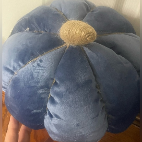 Set of 2 Plush Pumpkin Decor in Blue! NWT! - Picture 6 of 6